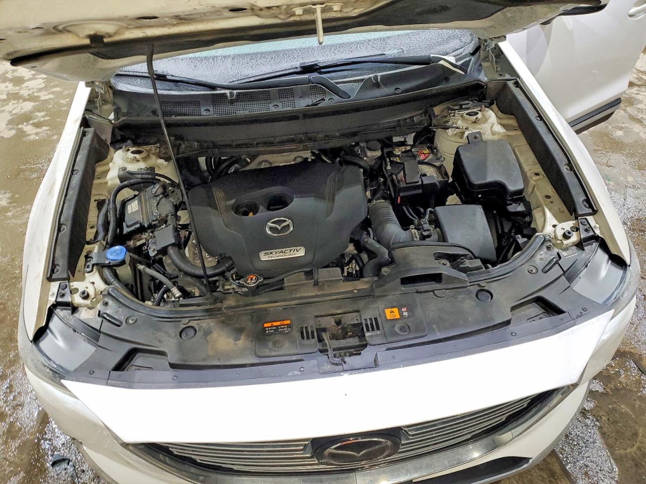 2016 MAZDA CX-9 SIGNATURE photo 34