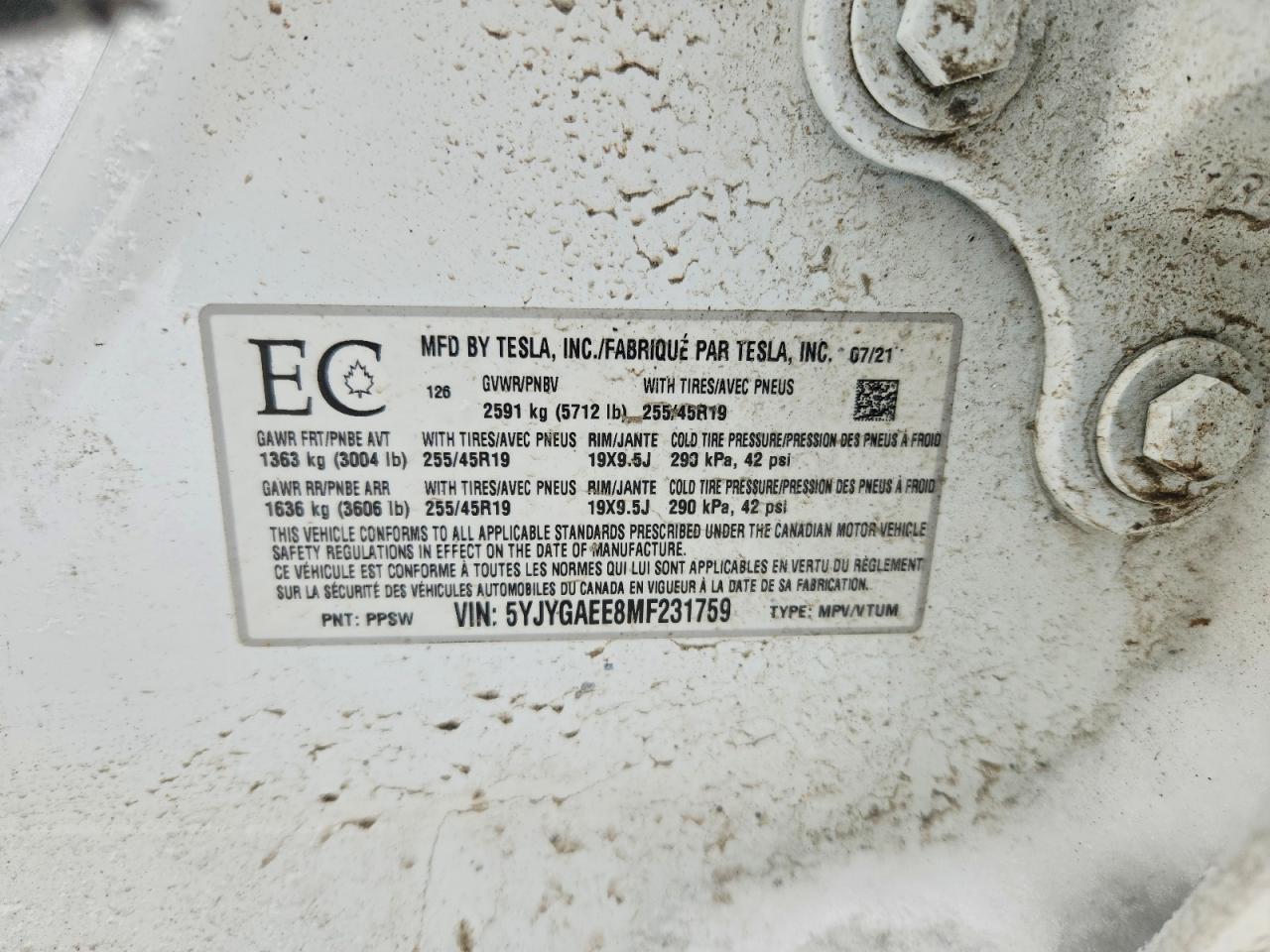 2021 TESLA MODEL Y photo 23