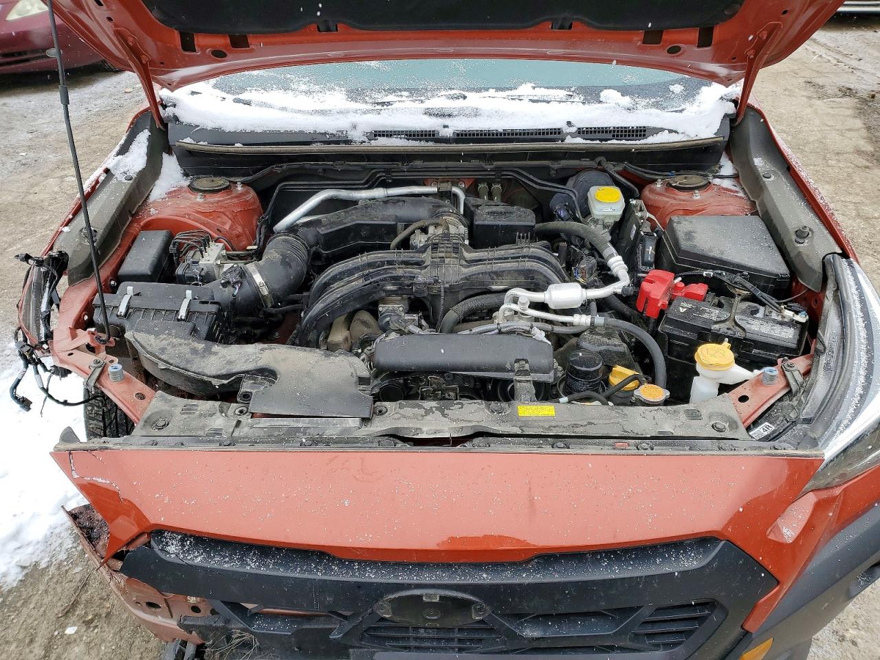 2024 SUBARU CROSSTREK WILDERNESS photo 12