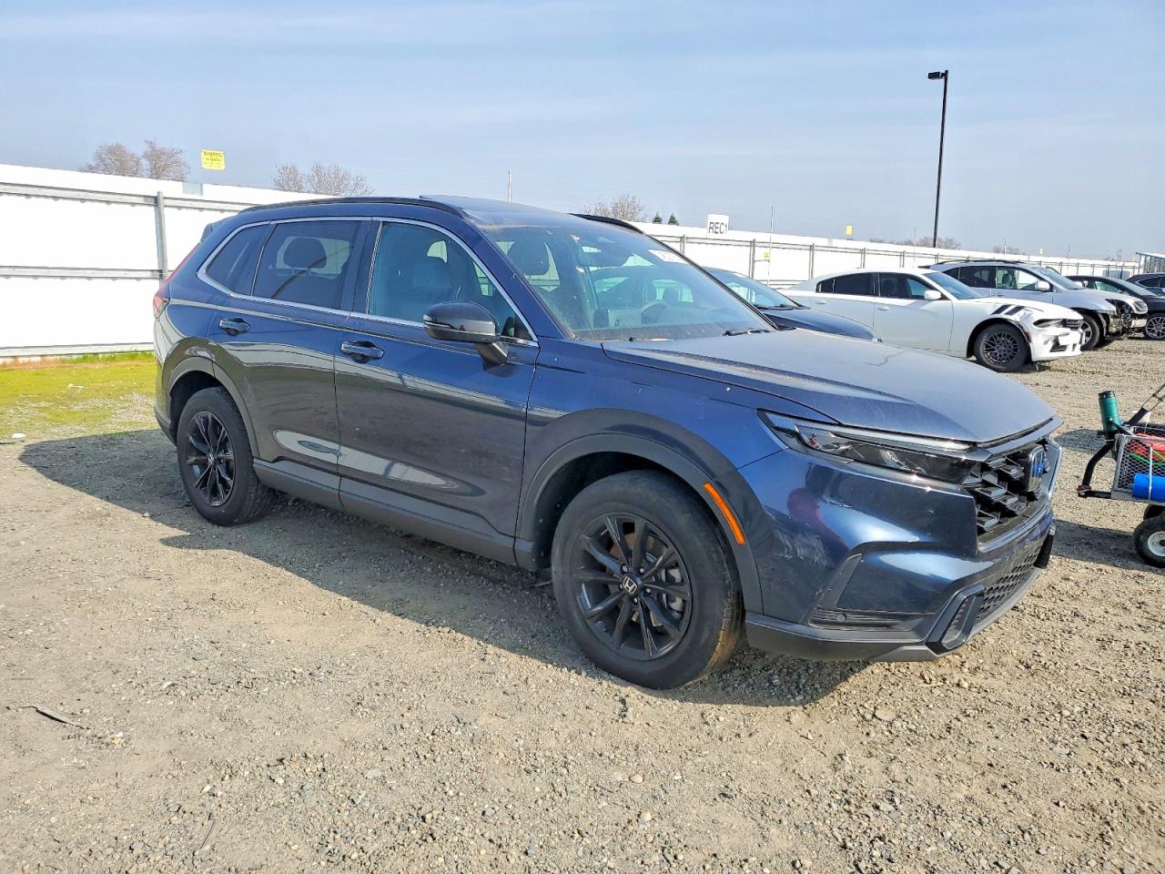 2024 HONDA PILOT photo 10