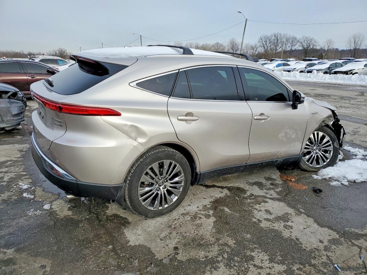2021 TOYOTA VENZA LE photo 5