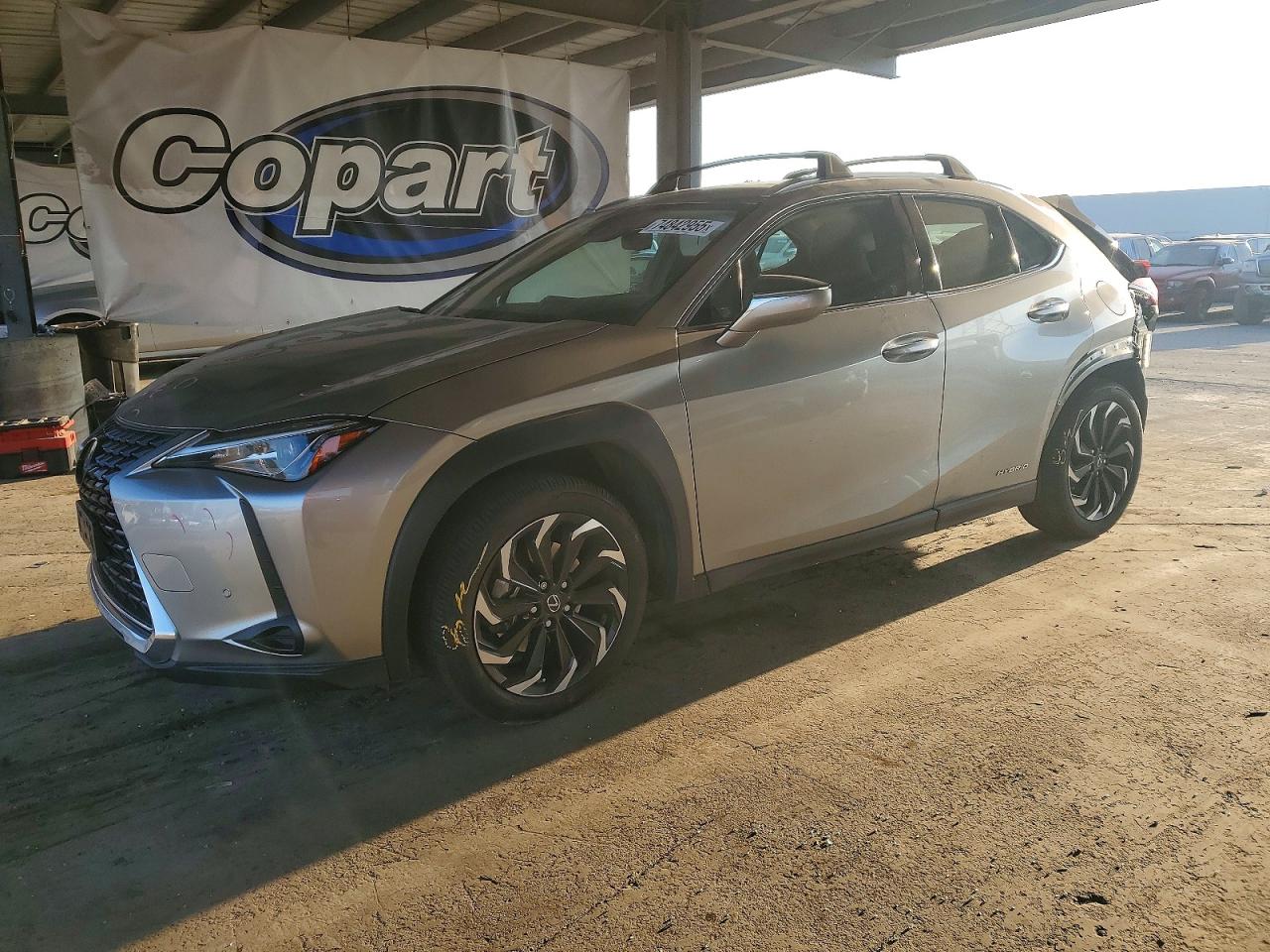 2020 LEXUS UX