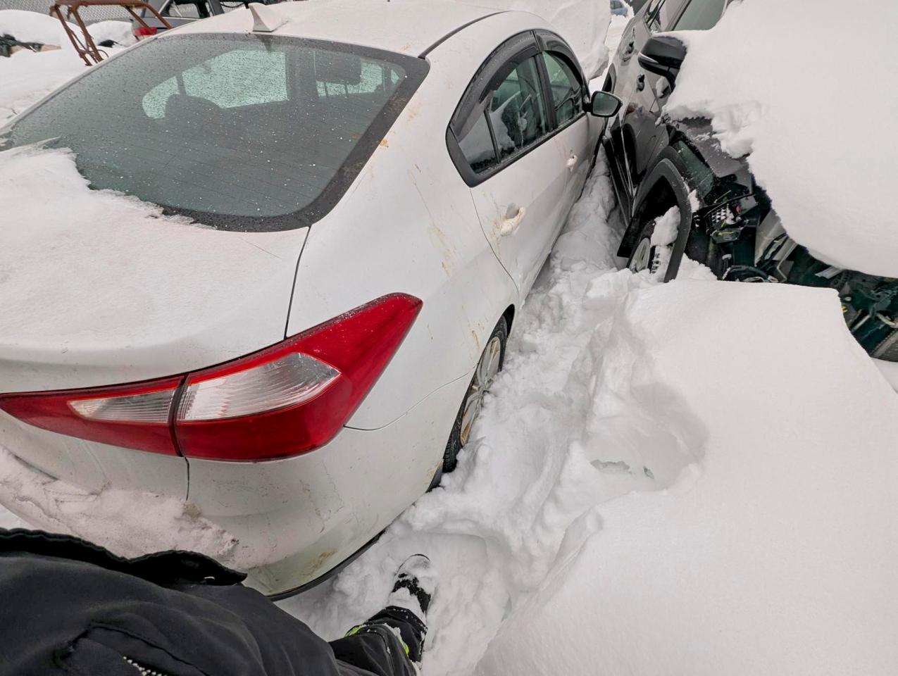 2015 KIA FORTE photo 3