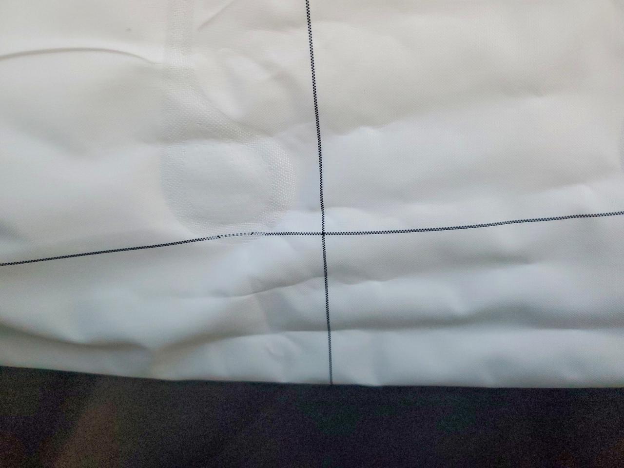2024 TESLA MODEL 3 photo 10