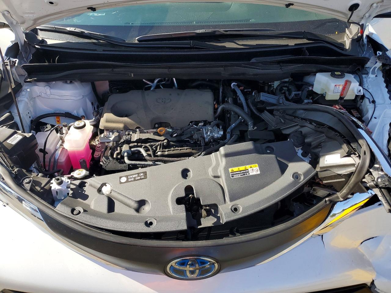 2025 TOYOTA SIENNA XLE photo 12
