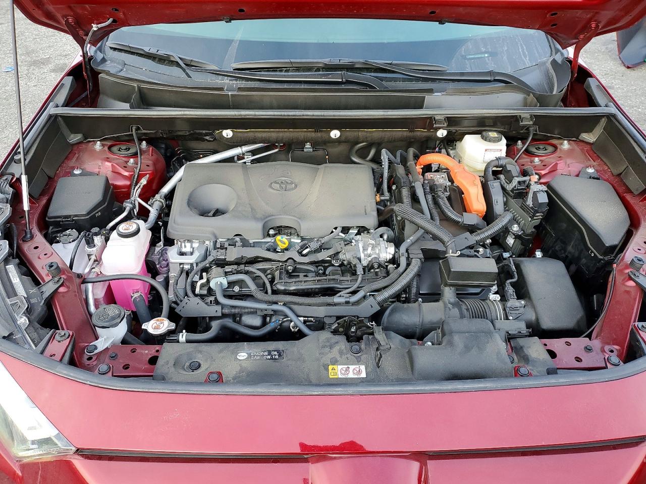 2025 TOYOTA RAV4 LE photo 12