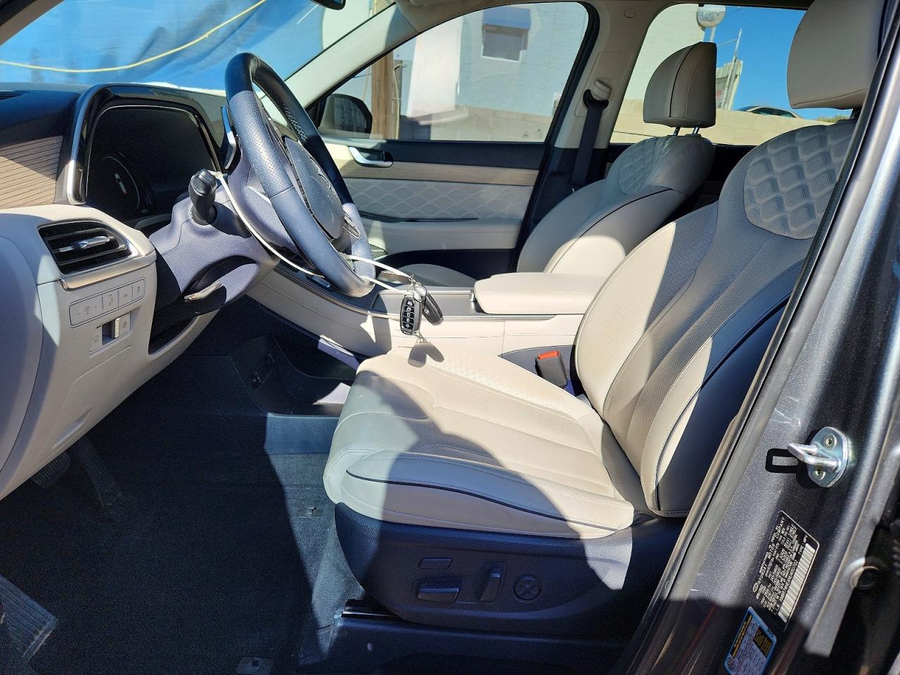 2022 HYUNDAI PALISADE CALLIGRAPHY photo 19