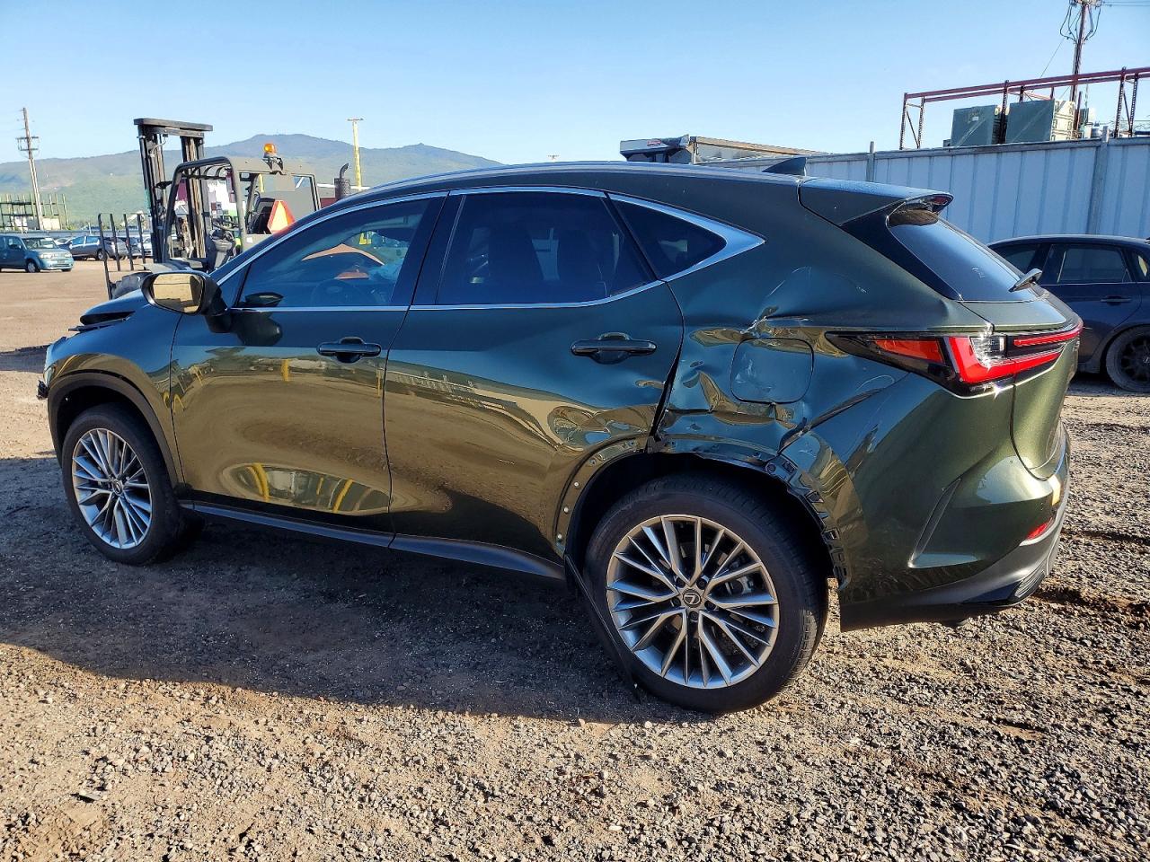 2025 LEXUS NX 350H BASE photo 2