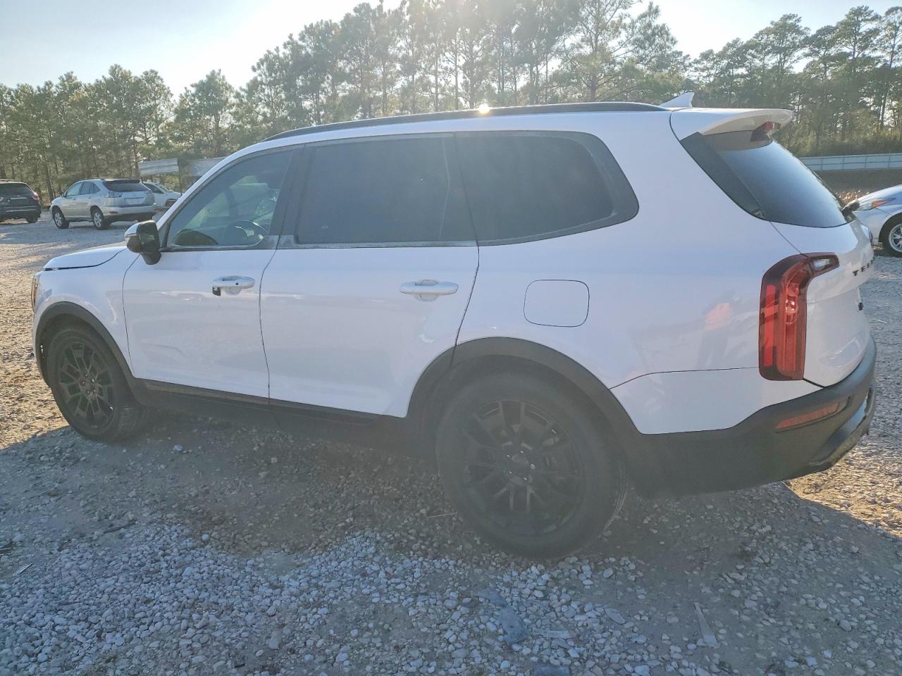 2021 KIA TELLURIDE EX photo 3
