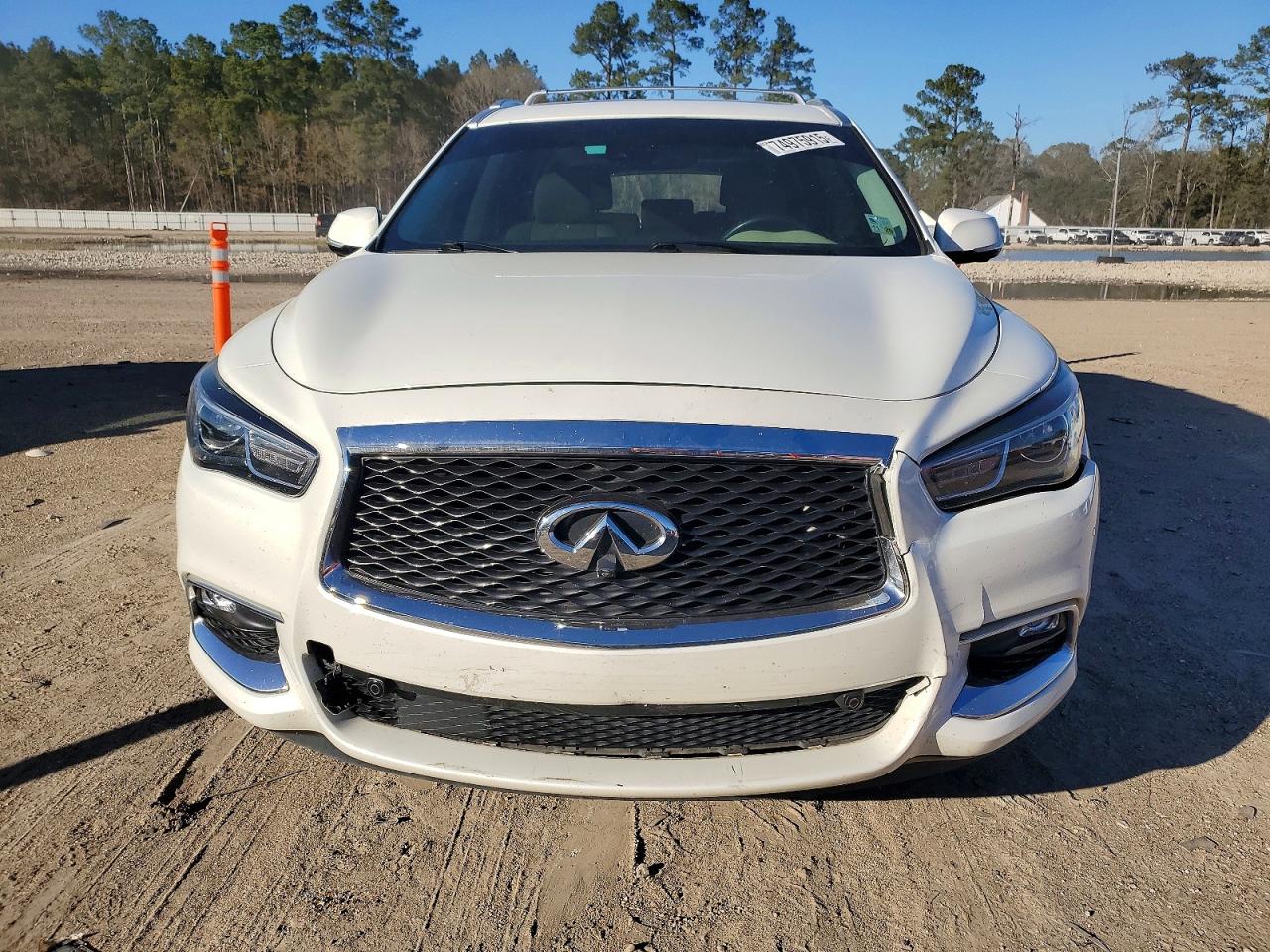 2020 INFINITI QX60 LUXE photo 5