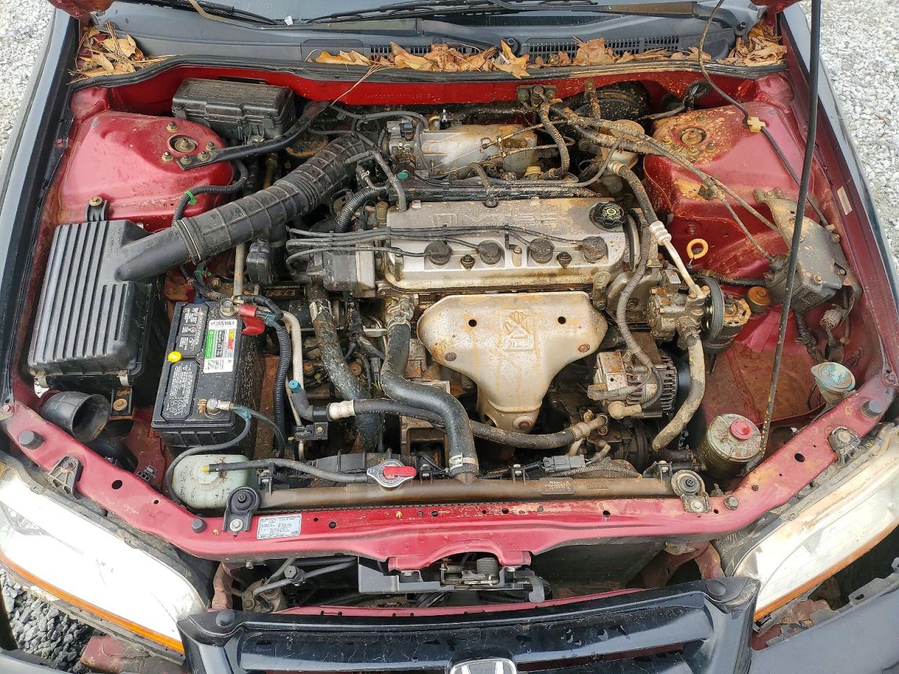 2002 HONDA ACCORD SE photo 11