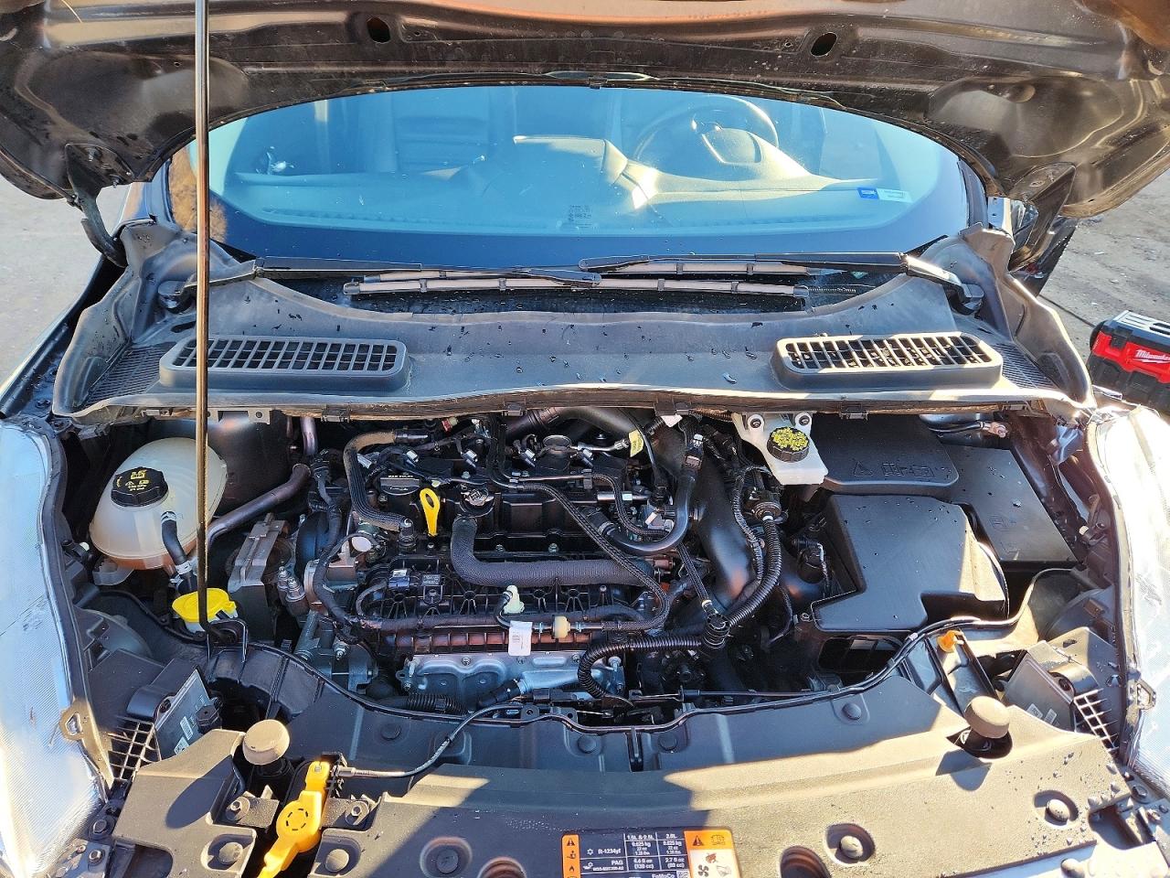 2019 FORD ESCAPE SEL photo 11