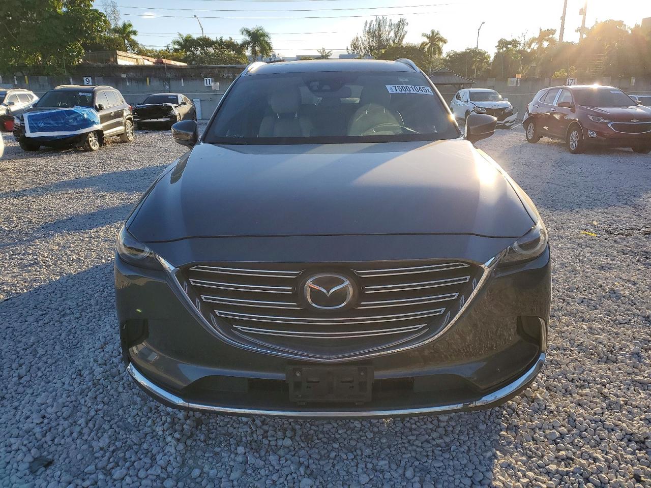 2017 MAZDA CX-9 GRAND TOURING photo 5