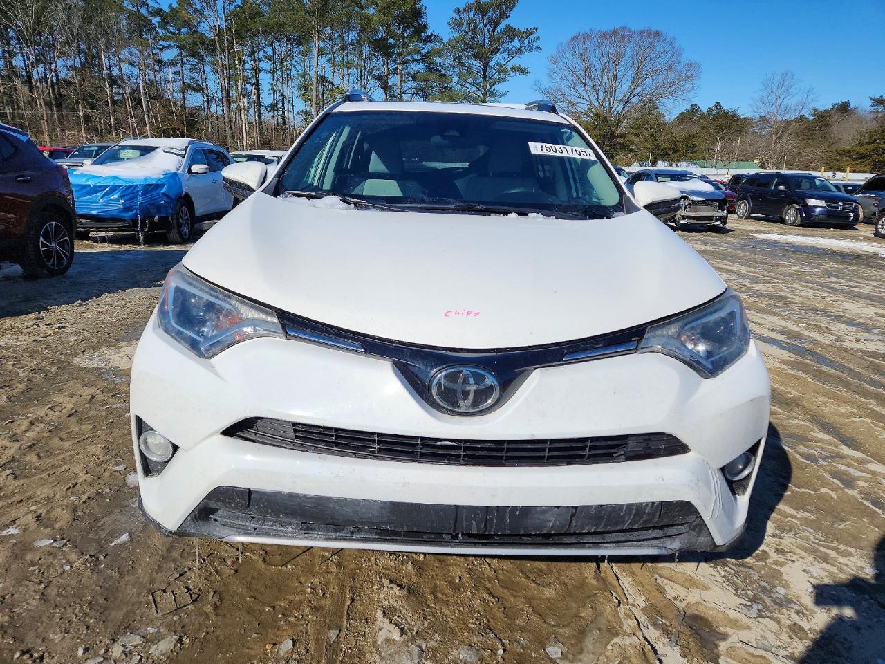 2017 TOYOTA RAV4 XLE photo 5