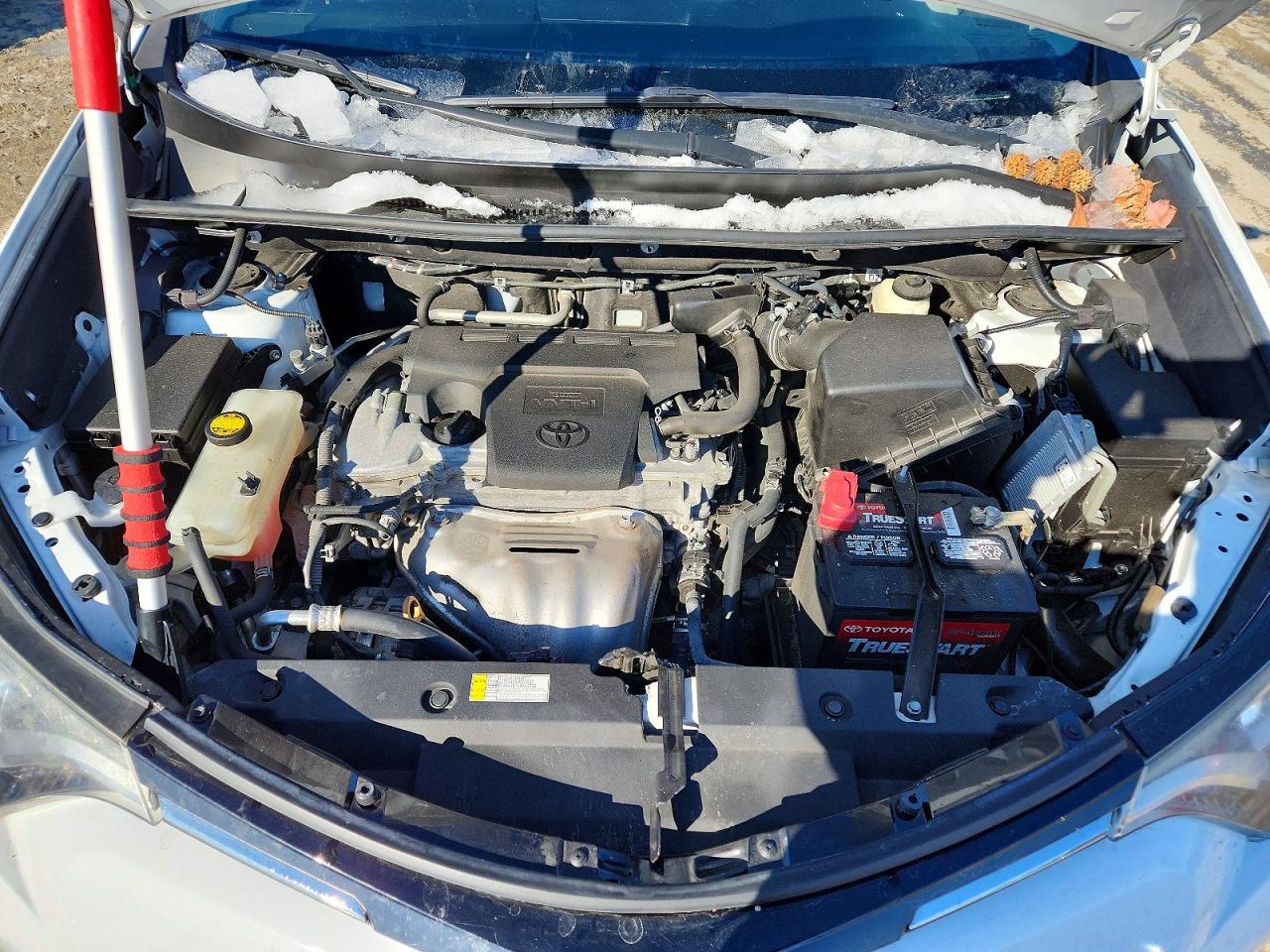 2017 TOYOTA RAV4 XLE photo 12