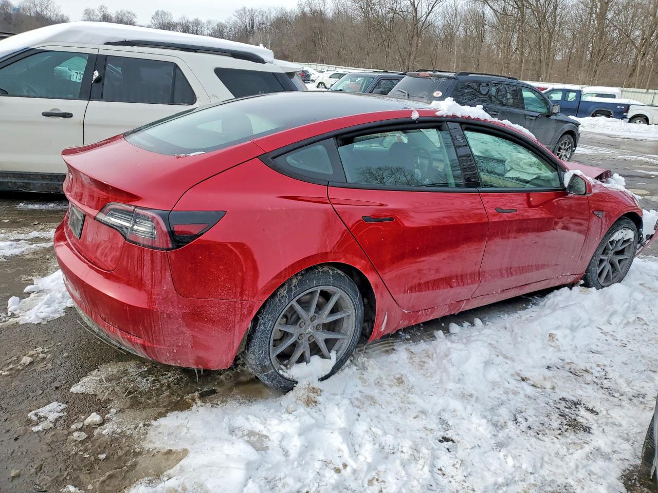 2021 TESLA MODEL 3 photo 5