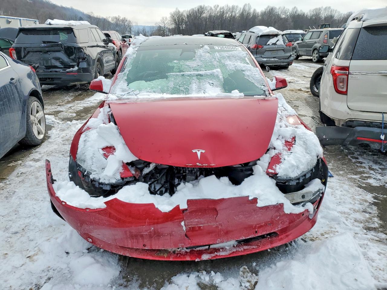 2021 TESLA MODEL 3 photo 9