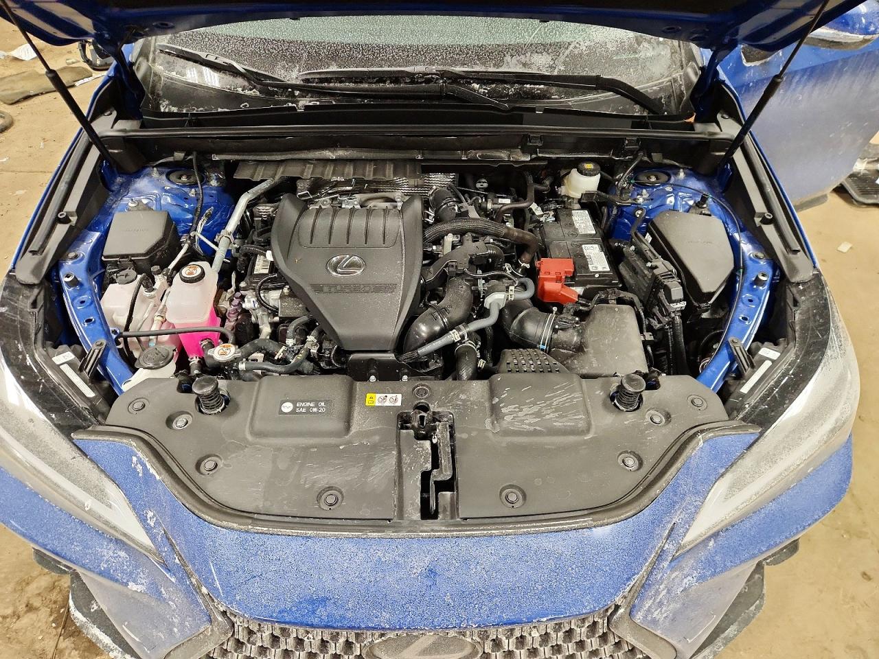 2025 LEXUS NX 350 BASE photo 23