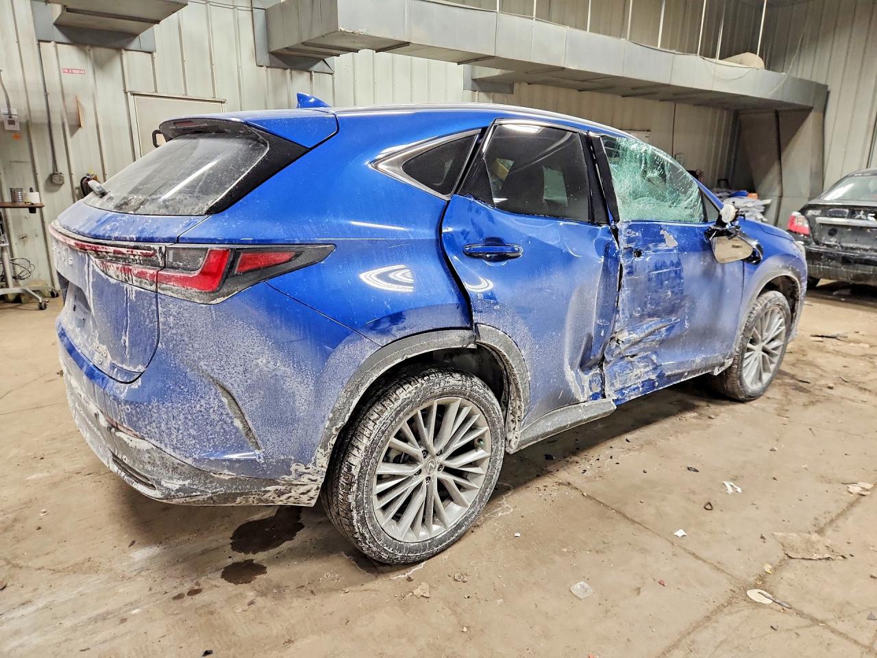 2025 LEXUS NX 350 BASE photo 5