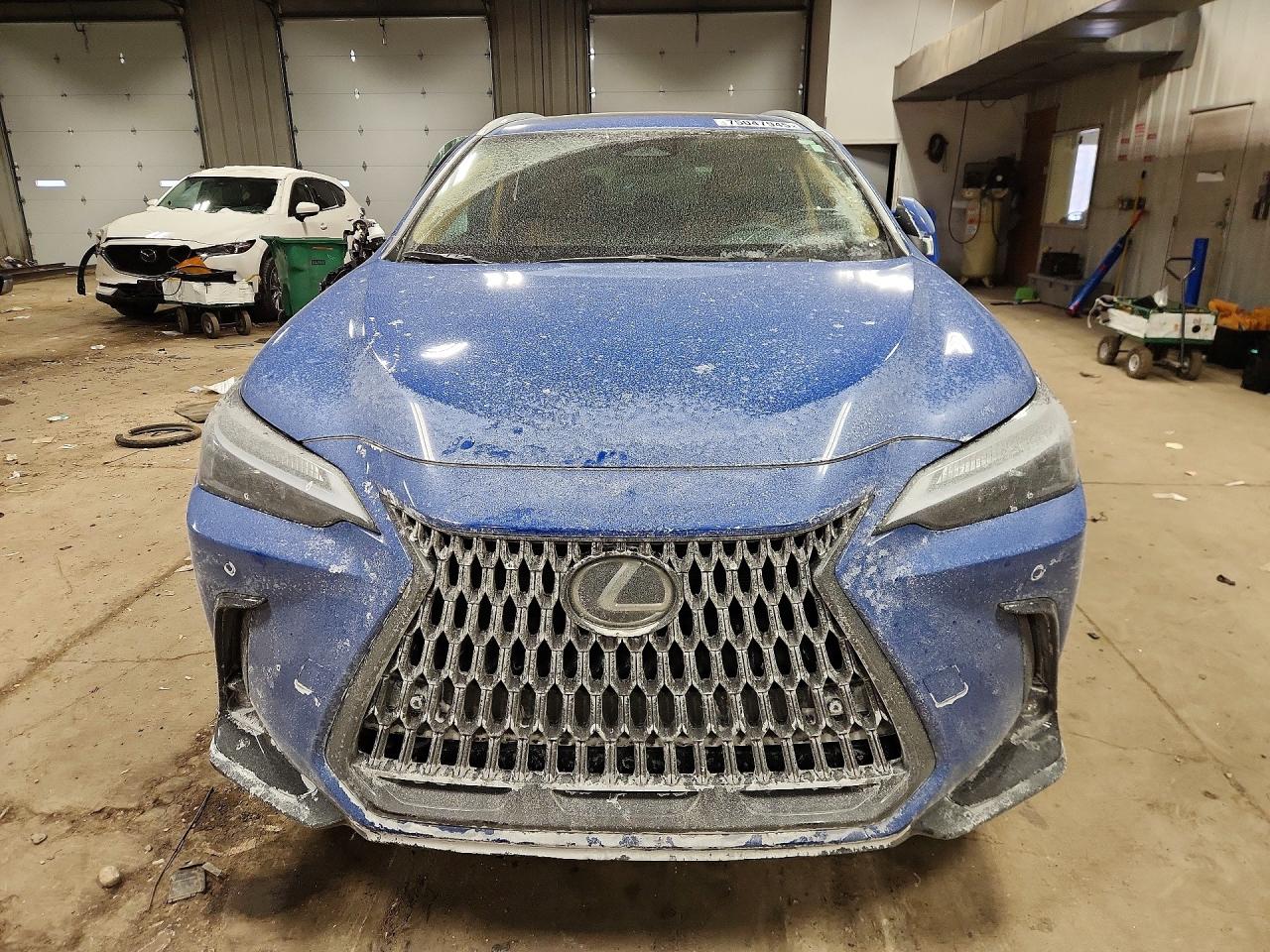 2025 LEXUS NX 350 BASE photo 9