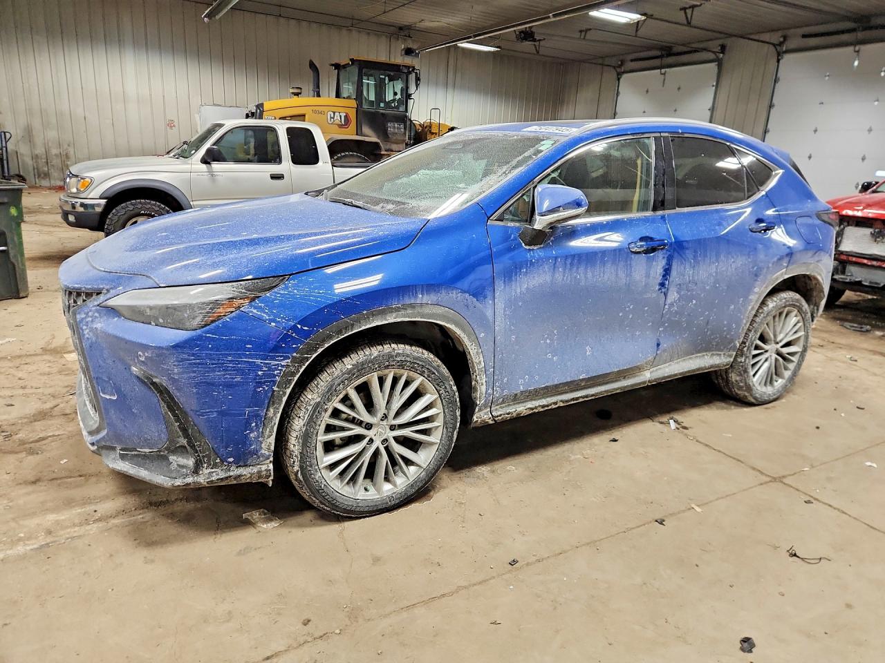 2025 LEXUS NX