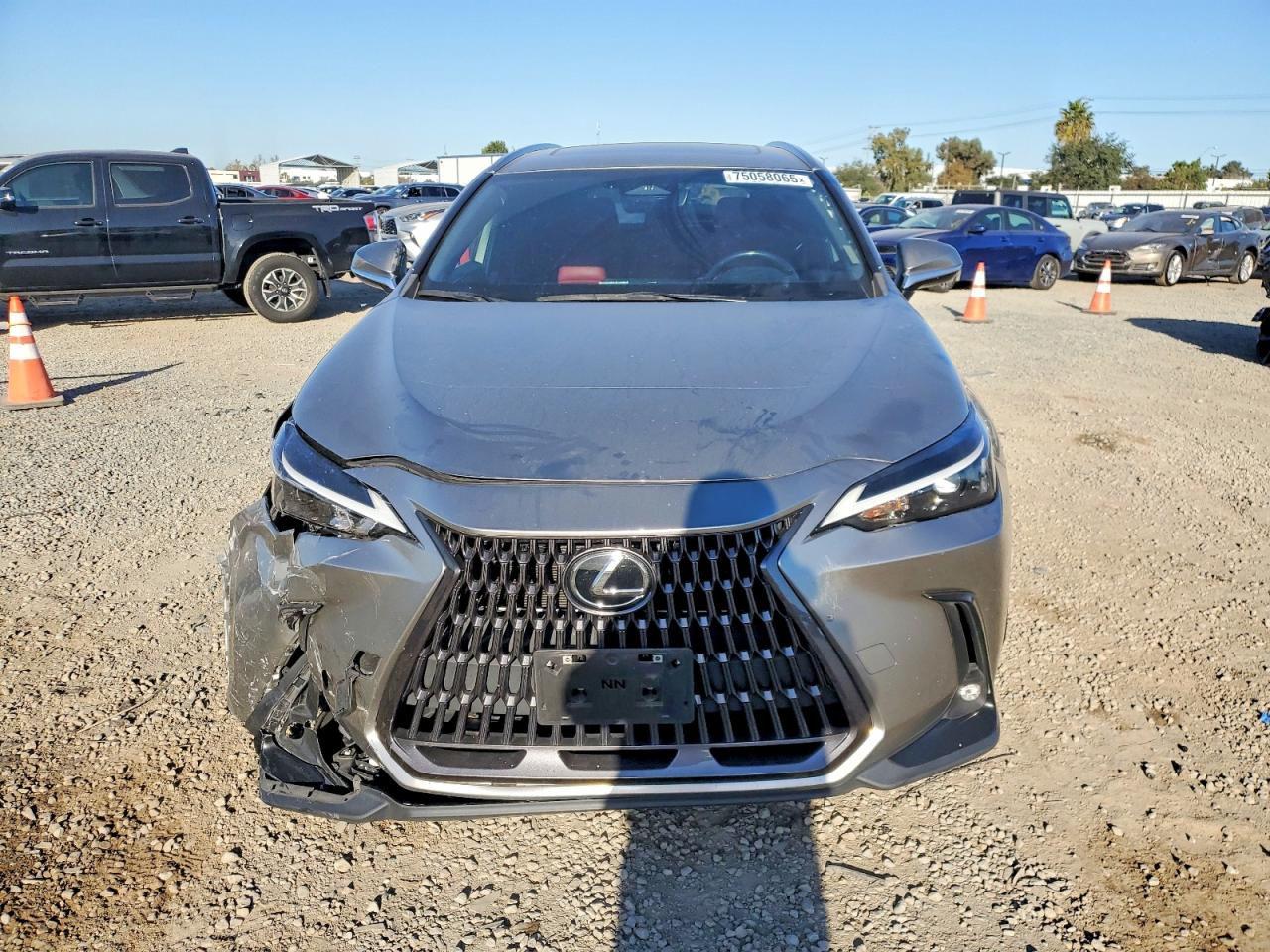 2022 LEXUS NX 350H photo 5