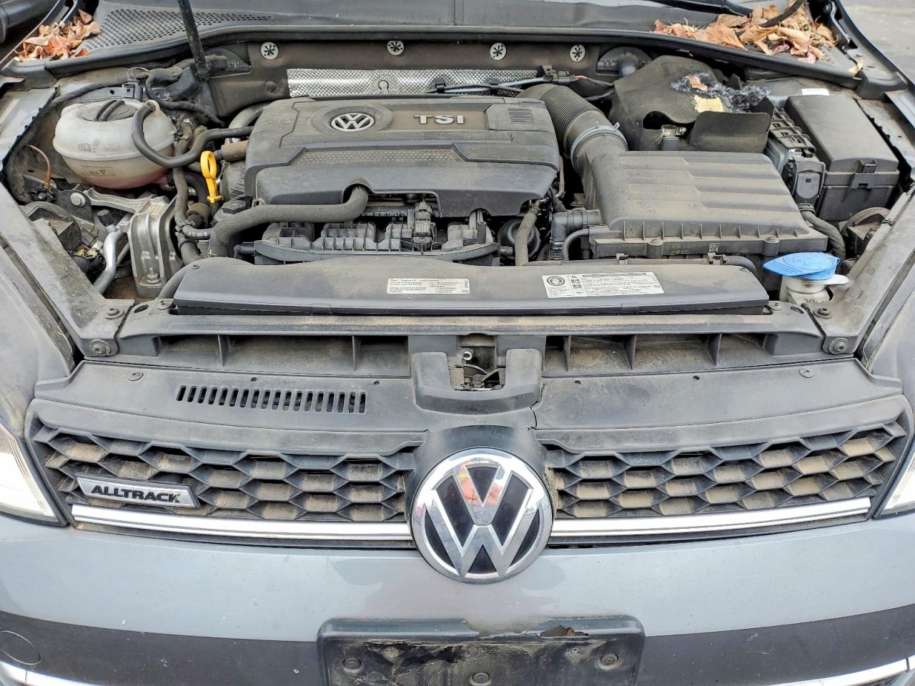2017 VOLKSWAGEN GOLF ALLTRACK S photo 31