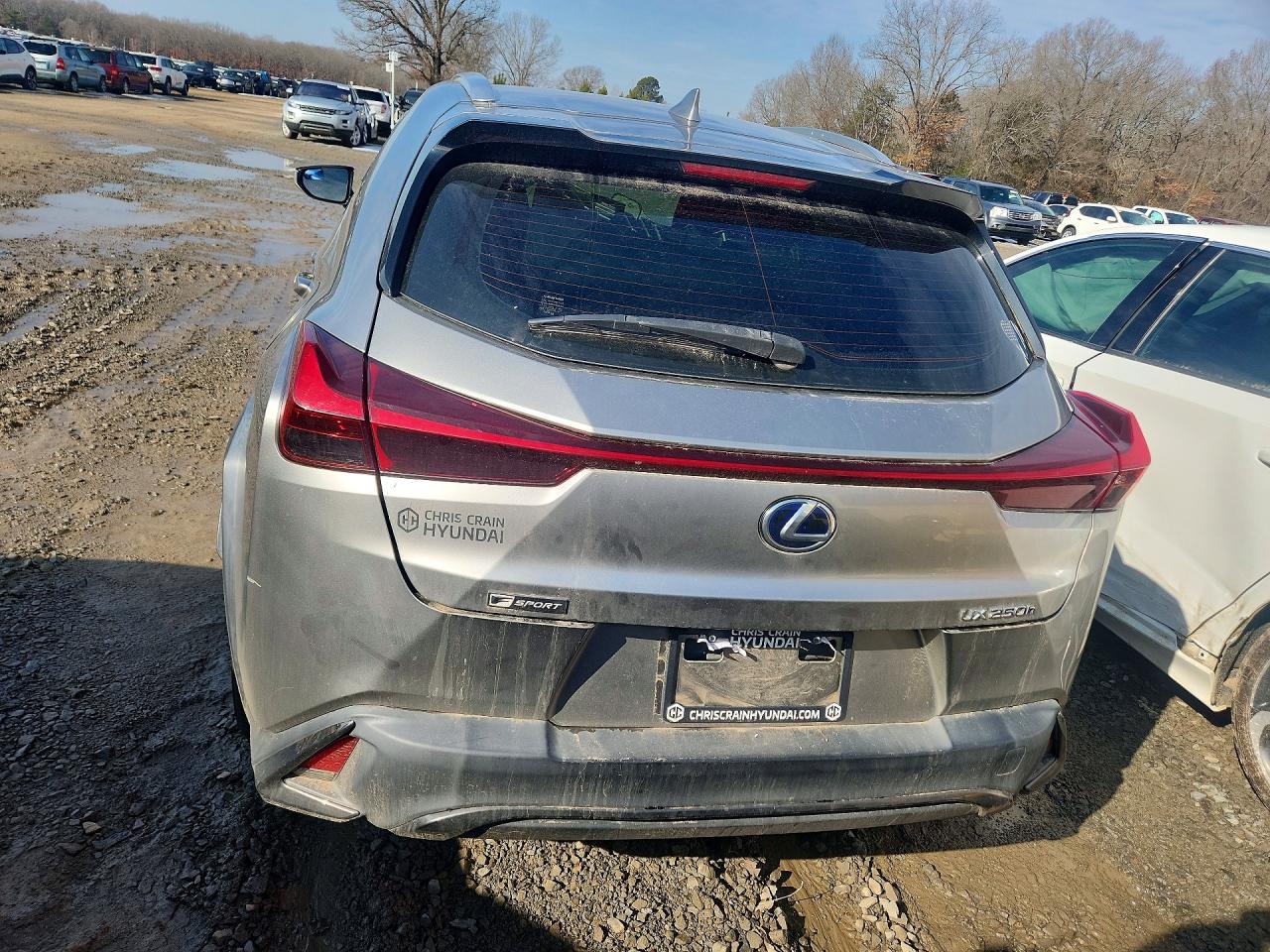 2020 LEXUS UX 250H photo 6