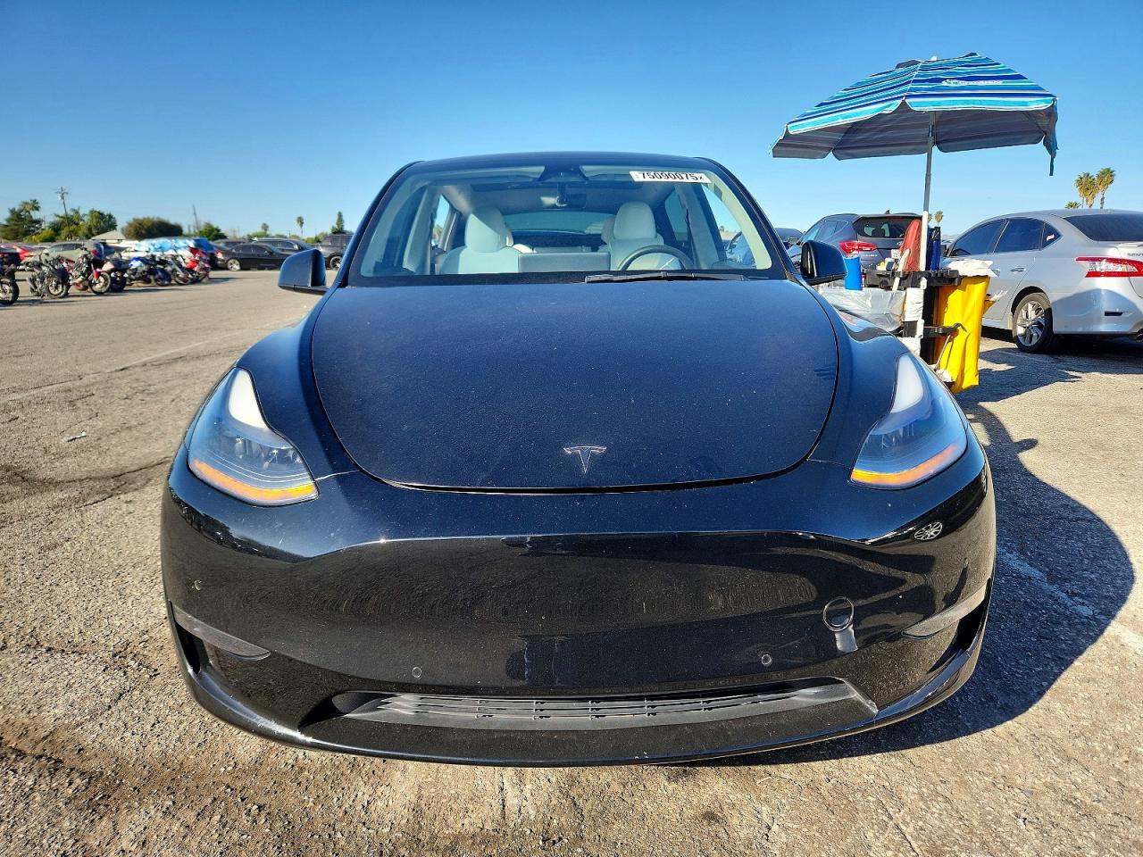 2021 TESLA MODEL Y photo 5