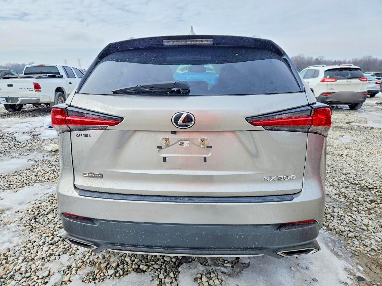 2020 LEXUS NX 300 F SPORT photo 6