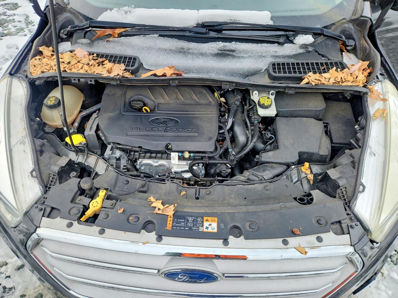 2018 FORD ESCAPE SE photo 23