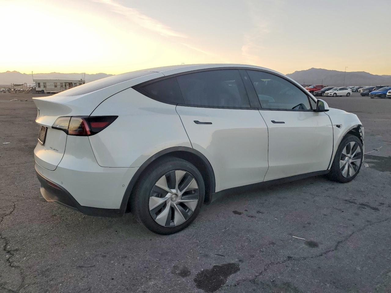 2021 TESLA MODEL Y photo 7