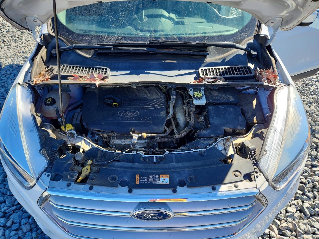 2018 FORD ESCAPE SE photo 23