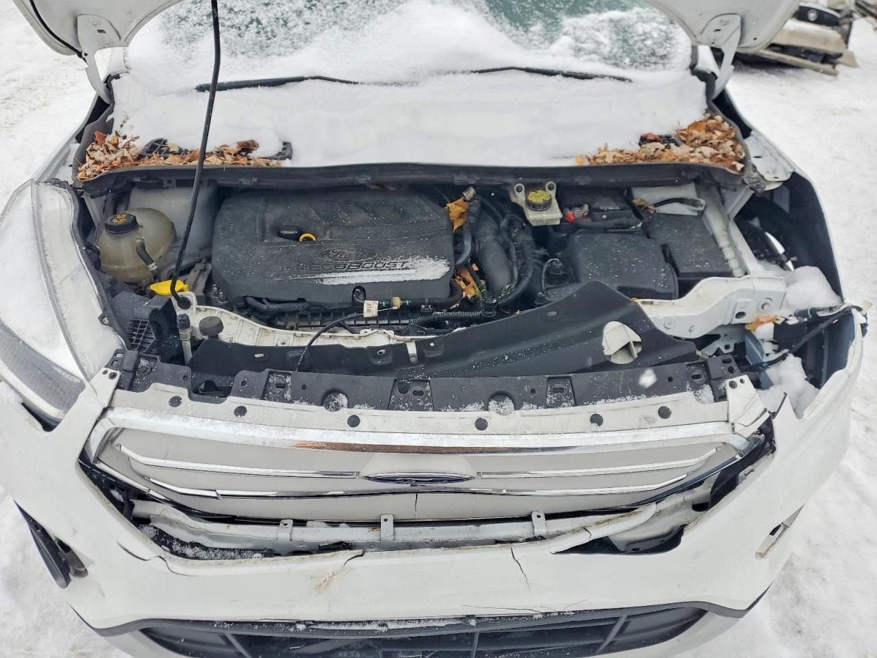 2018 FORD ESCAPE SE photo 23