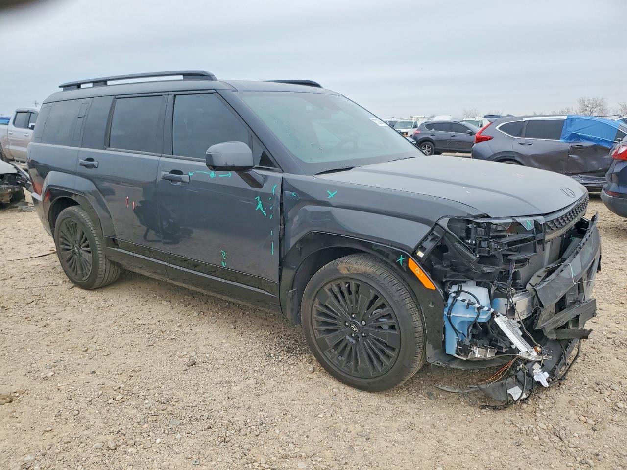 2025 HYUNDAI SANTA FE CALLIGRAPHY photo 7