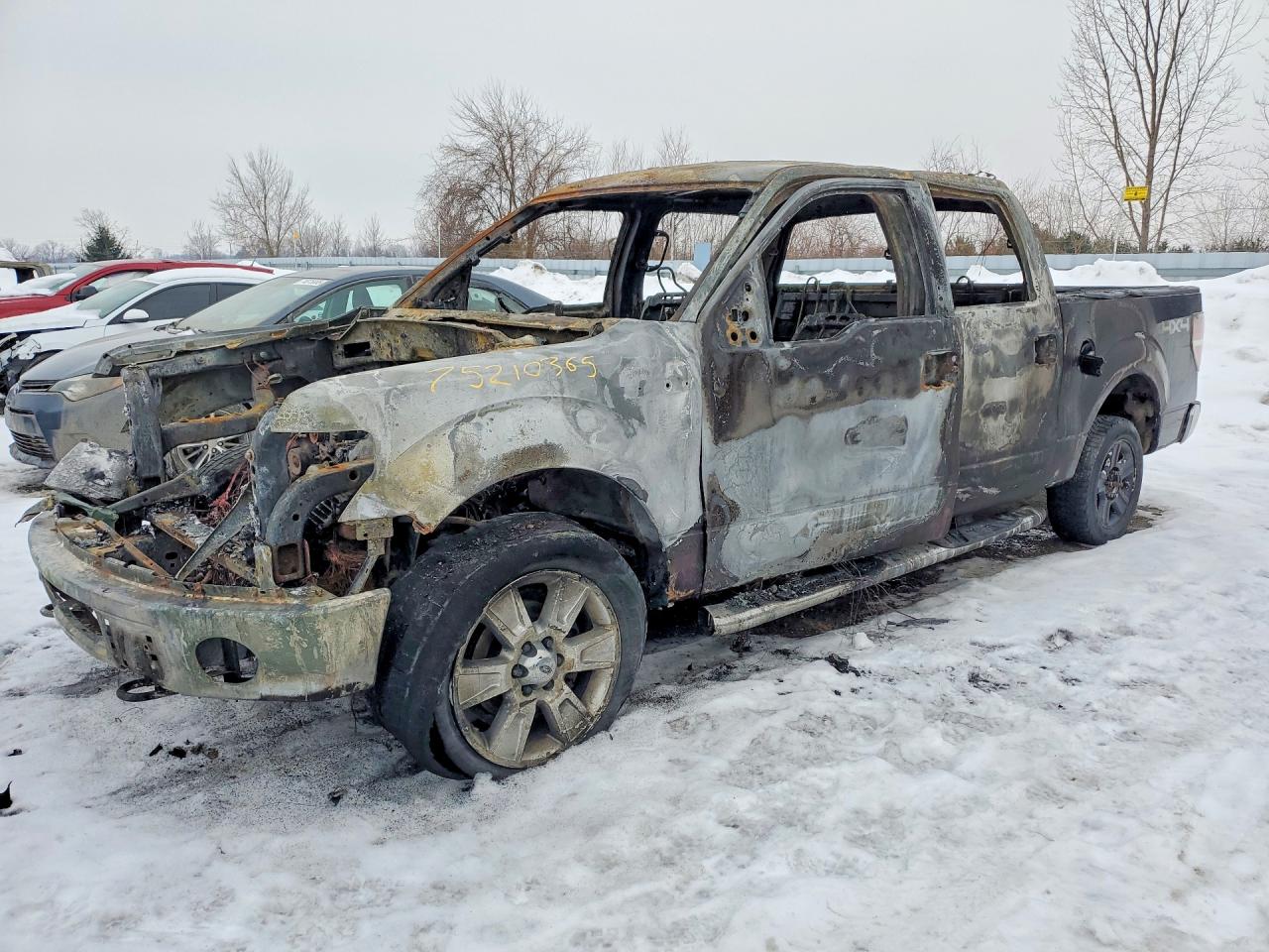 2010 FORD F150