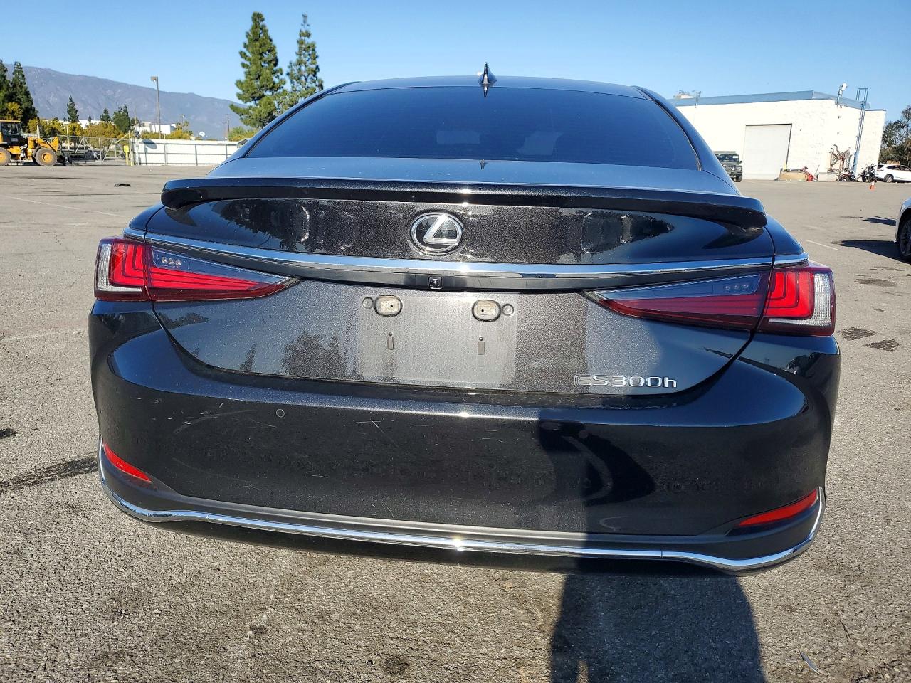 2025 LEXUS ES 300H BASE photo 6