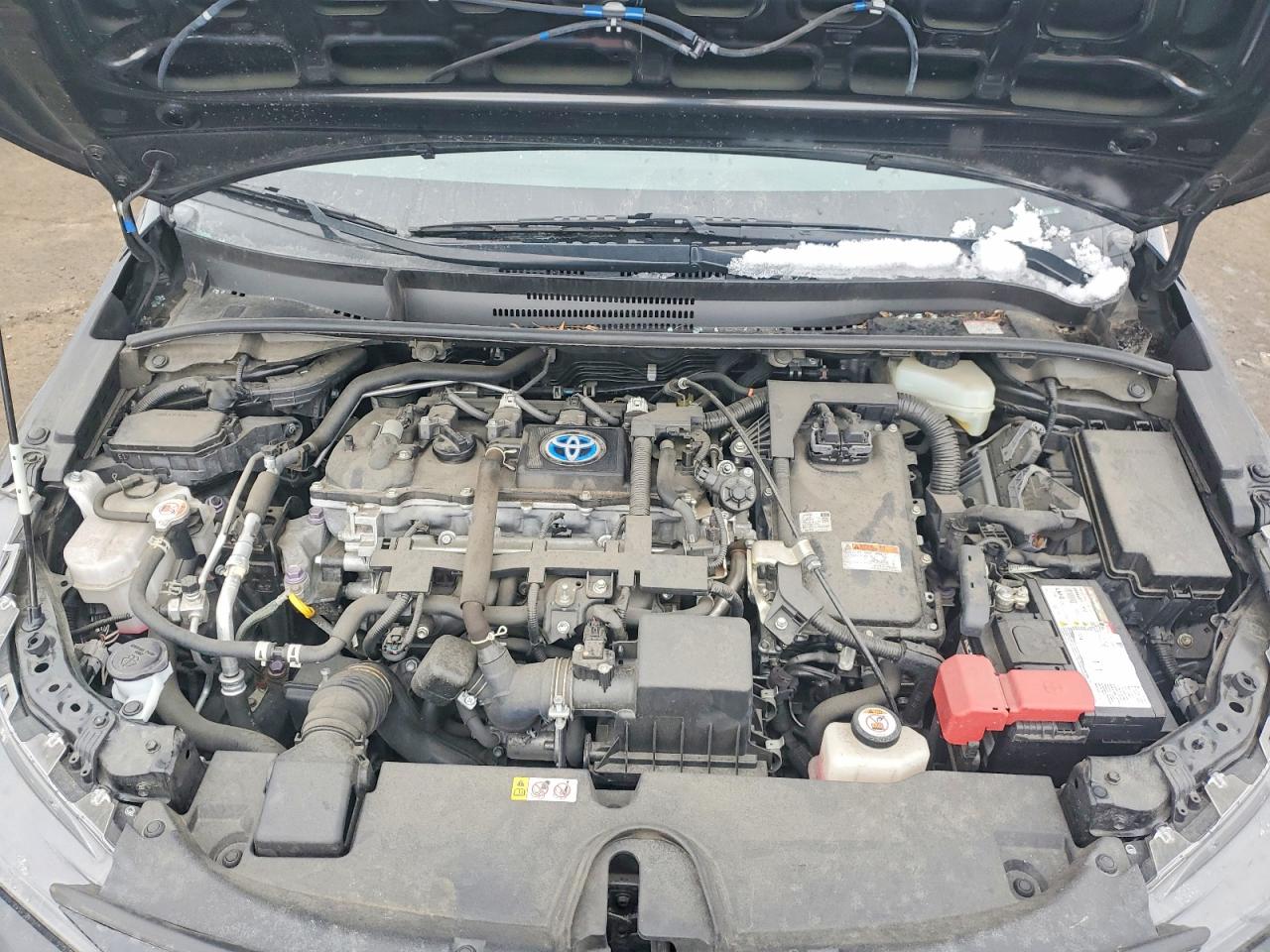 2021 TOYOTA COROLLA LE photo 11
