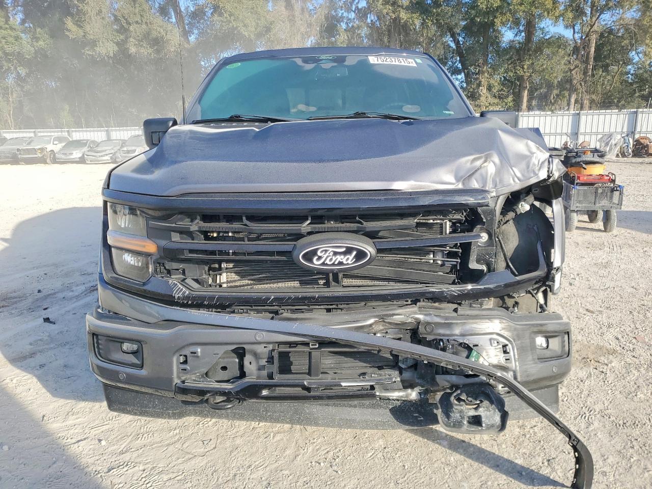 2024 FORD F150 XLT photo 13