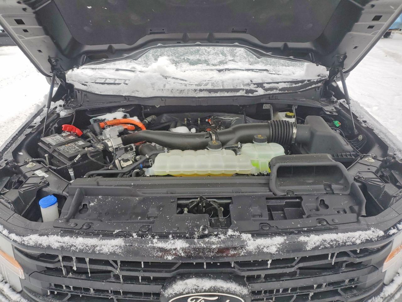 2025 FORD F150 XLT photo 31