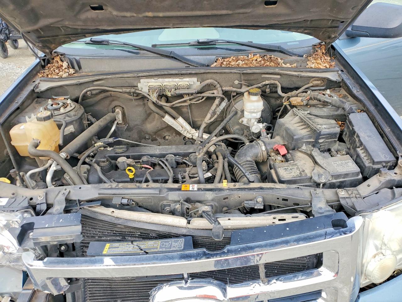 2010 FORD ESCAPE XLT photo 31