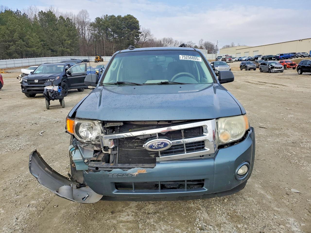 2010 FORD ESCAPE XLT photo 13