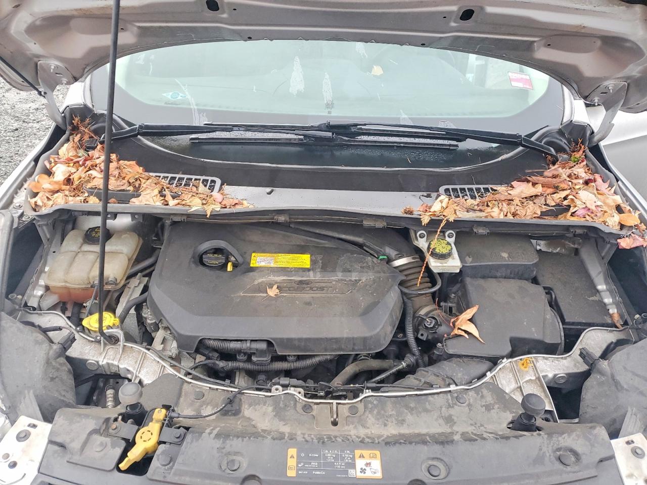 2016 FORD ESCAPE SE photo 12