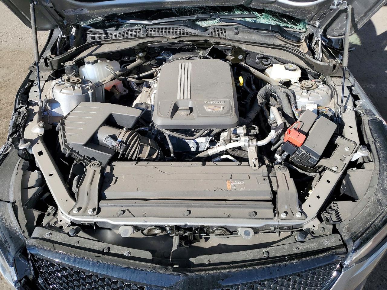 2025 CADILLAC CT4 PREMIUM LUXURY photo 11