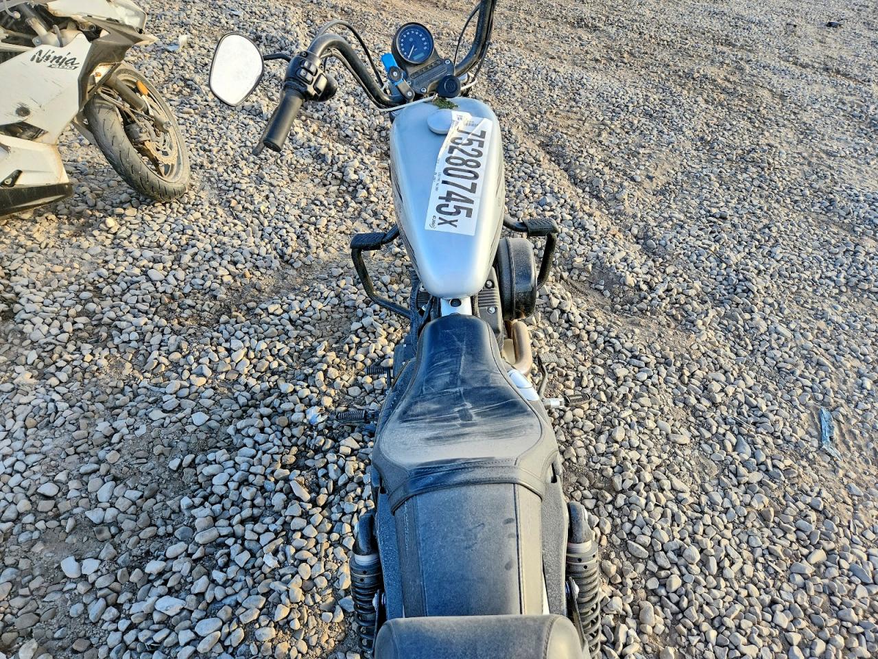 2020 HARLEY-DAVIDSON XL1200 NS photo 6
