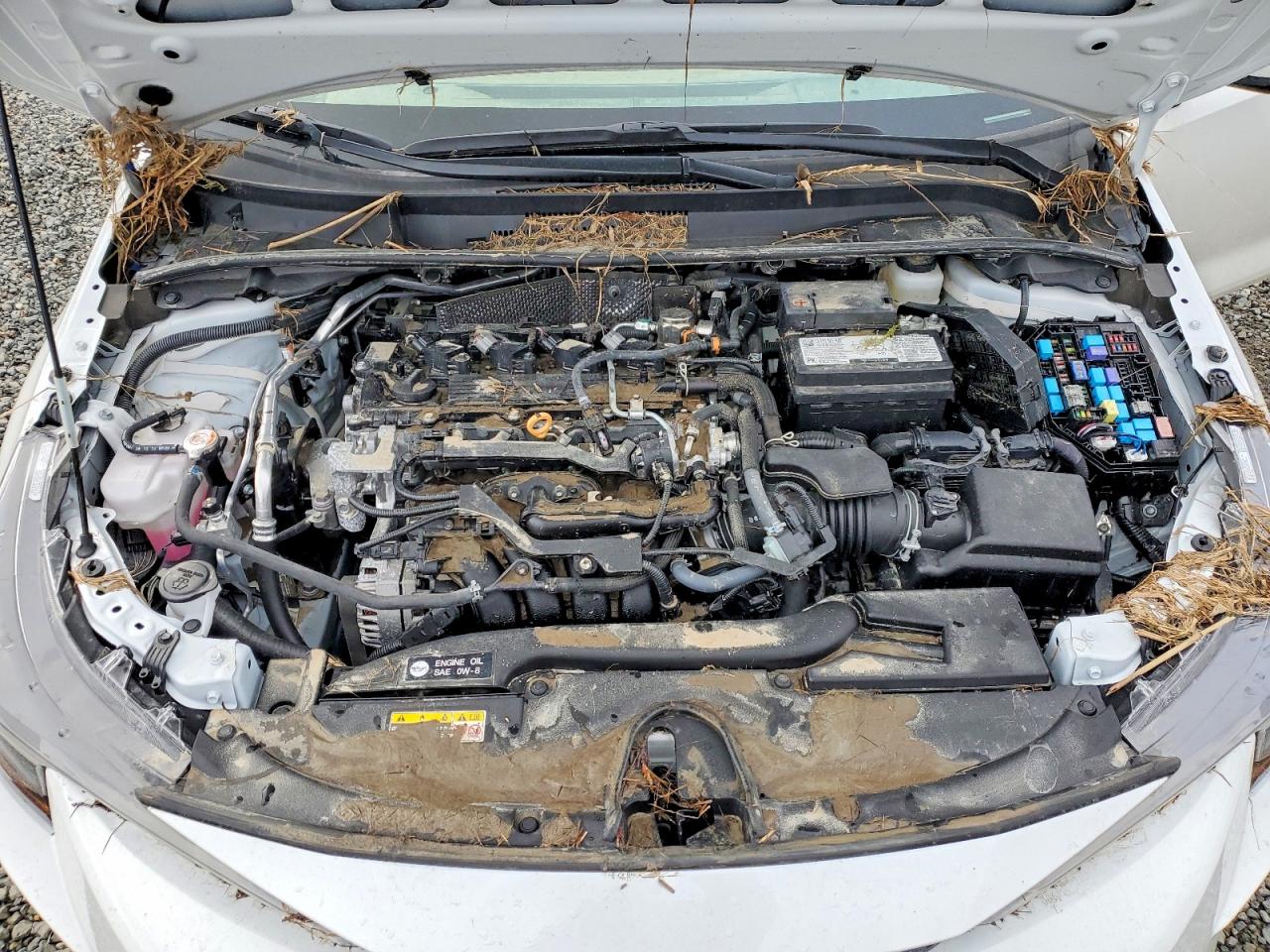 2025 TOYOTA COROLLA LE photo 21