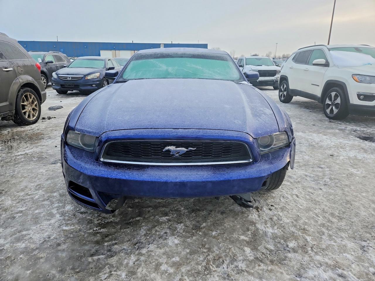 2014 FORD MUSTANG photo 9