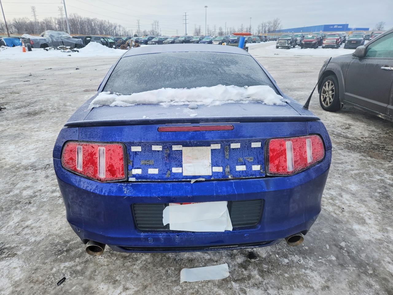 2014 FORD MUSTANG photo 11