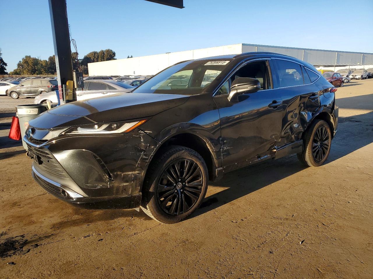 2023 TOYOTA VENZA