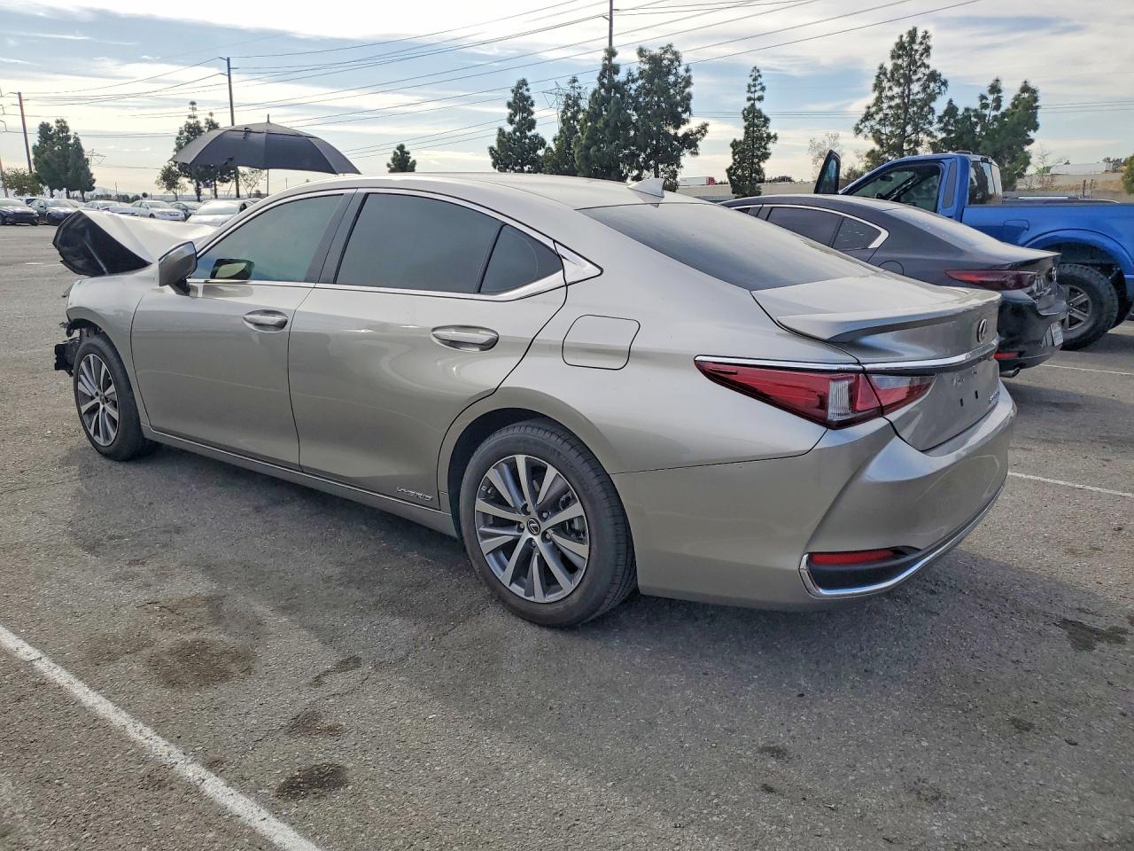 2020 LEXUS ES 300H BASE photo 2